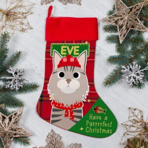 Personalised Maine Coon Cat Christmas Treat Stocking Festive Pet Gift