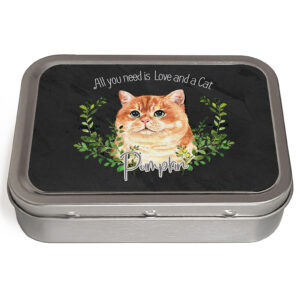 Personalised Ginger Cat Tin NDD65