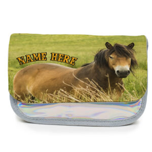 Personalised Horse Kids Silver Pencil Case SH082