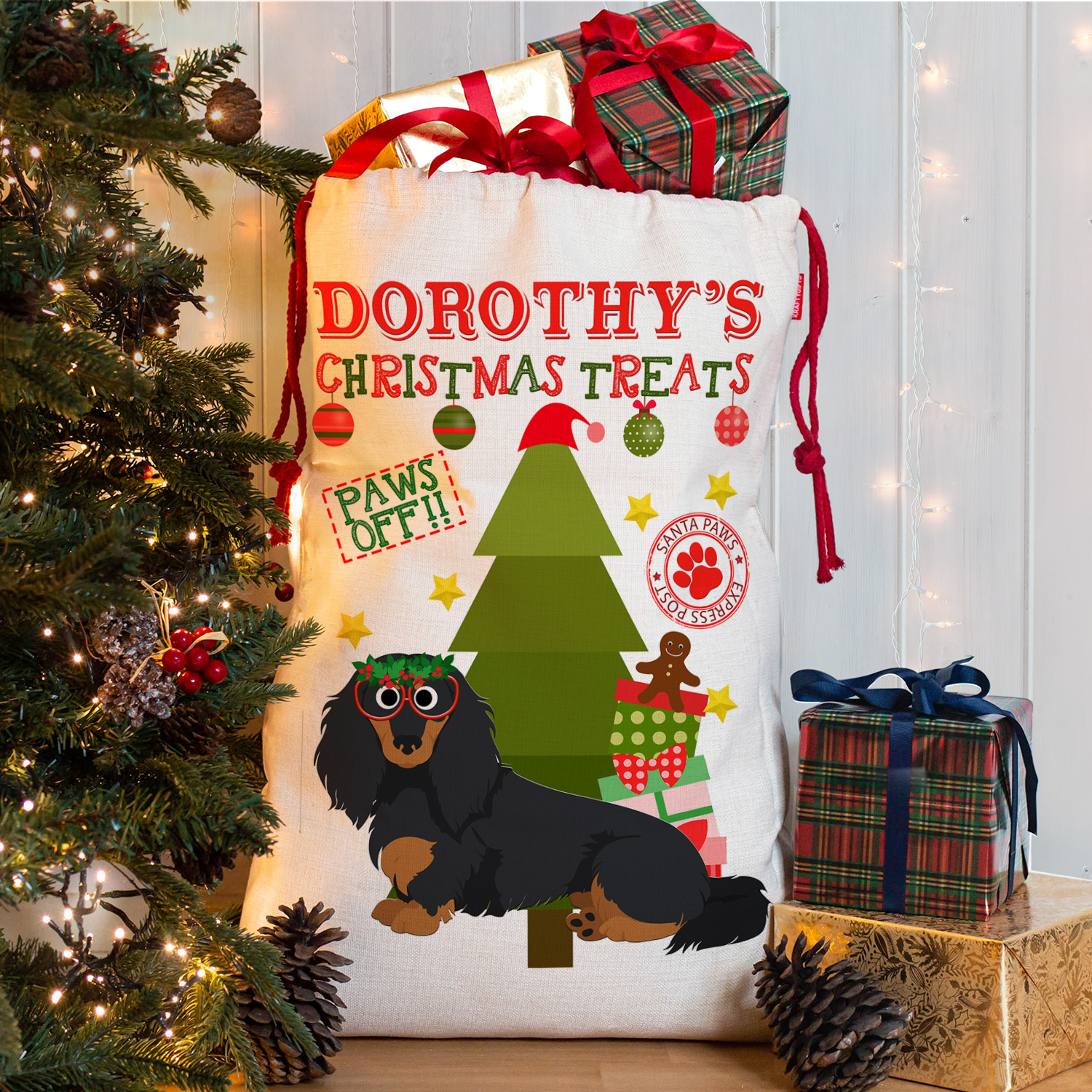 Personalised Dachshund Dog Treat Sack CDS96