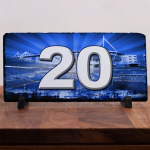 Personalised Reading Football House Number Slate AFS108