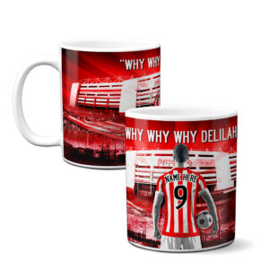 Personalised Stoke City Football Mug AFM122