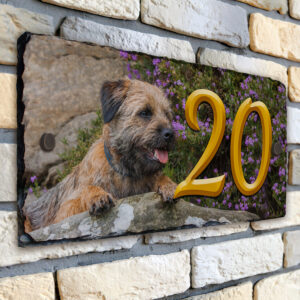 Personalised Border Terrier Dog House Number Slate SL09A