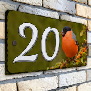 Personalised Bullfinch Bird House Number Slate SL10