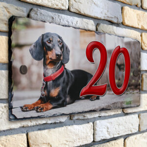 Personalised Dachshund Dog House Number Slate SL21