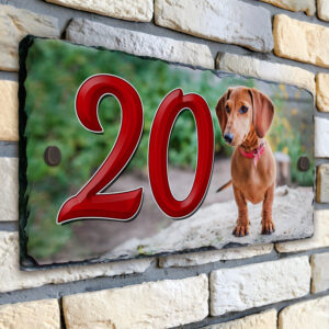 Personalised Dachshund Dog House Number Slate SL22