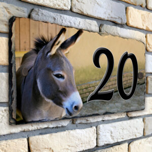 Personalised Donkey House Number Slate SL75