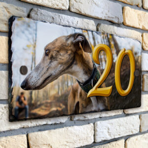 Personalised Greyhound Dog House Number Slate SL35