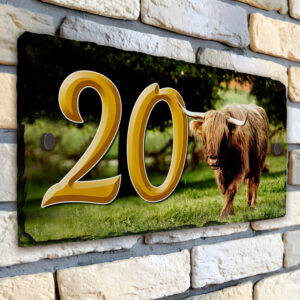 Personalised Highland Cow Farm House Number Slate SL37