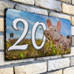 Personalised Pig Farm House Number Slate SL45