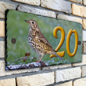 Personalised Thrush Bird House Number Slate SL65