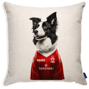 Nottingham Football Border Collie Dog Cushion Personalised Cover DFC478