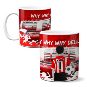 Personalised Stoke City Kids Football Mug CFM54