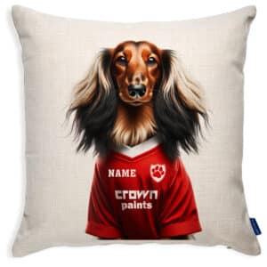 Liverpool Football Long Hair Dachshund Dog Cushion Personalised Cover DFC389