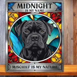 Personalised Cane Corso Dog Mischief Metal Sign DG07