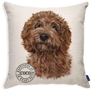 Personalised Brown Doodle Dog Cushion Cover KDC62