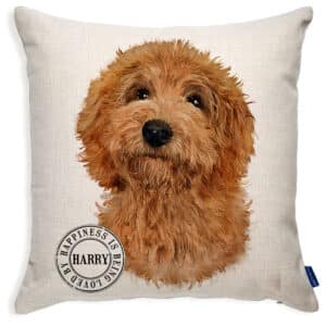 Personalised Ginger Doodle Dog Cushion Cover KDC63