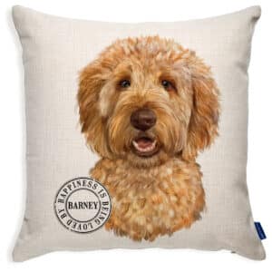 Personalised Apricot Doodle Dog Cushion Cover KDC65