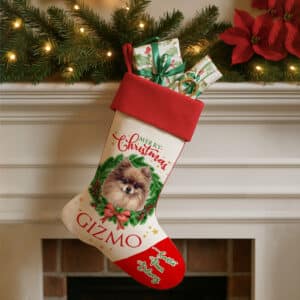 Personalised Pomeranian Dog Christmas Stocking DWST42