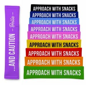 Personalised Dog Lead Sleeve 'Approach With Snacks... And Caution' Leash Cover