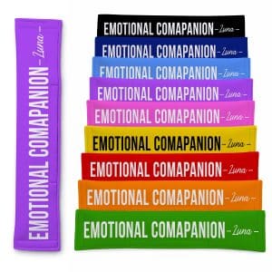 Personalised Dog Lead Sleeve 'Emotional Companion' Leash Cover