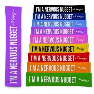Personalised Dog Lead Sleeve 'Nervous Nugget' Leash Cover