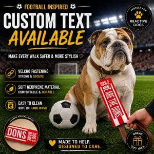 Personalised Aberdeen Football Inspired Dog Lead Sleeve DLF01