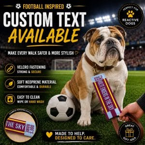 Personalised Aston Villa Football Inspired Dog Lead Sleeve DLF03