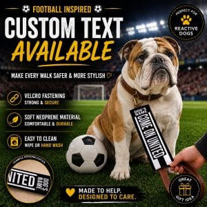 Personalised Ayr Football Inspired Dog Lead Sleeve DLF04