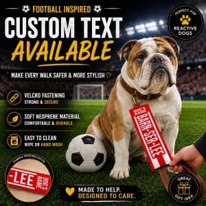 Personalised Barnsley Football Inspired Dog Lead Sleeve DLF05