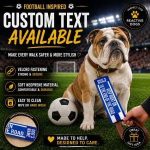 Personalised Birmingham Football Inspired Dog Lead Sleeve DLF06