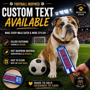 Personalised Blackburn Football Inspired Dog Lead Sleeve DLF07