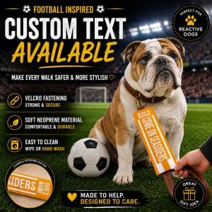 Personalised Blackpool Football Inspired Dog Lead Sleeve DLF08