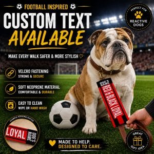 Personalised Bournemouth Football Inspired Dog Lead Sleeve DLF10