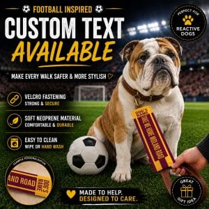 Personalised Bradford Football Inspired Dog Lead Sleeve DLF11