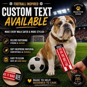 Personalised Brentford Football Inspired Dog Lead Sleeve DLF12