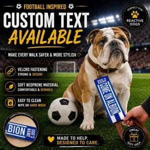 Personalised Brighton Football Inspired Dog Lead Sleeve DLF13