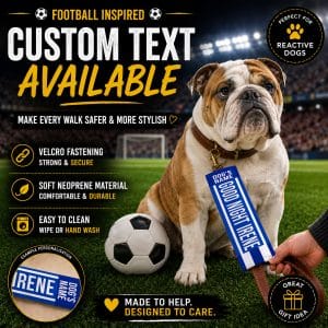 Personalised Bristol Rovers Football Inspired Dog Lead Sleeve DLF15