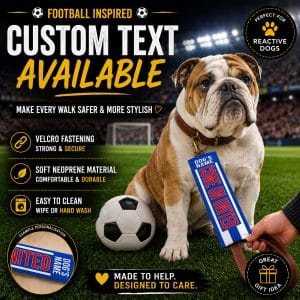 Personalised Carlisle Football Inspired Dog Lead Sleeve DLF17