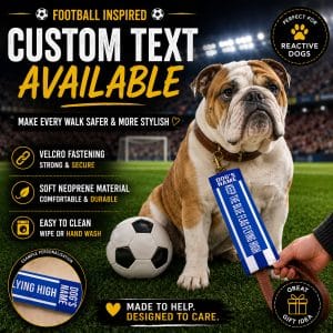Personalised Chelsea Football Inspired Dog Lead Sleeve DLF19
