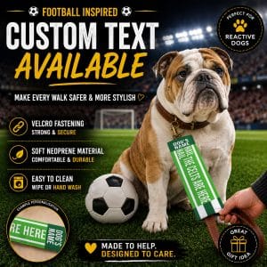Personalised Celtic Football Inspired Dog Lead Sleeve DLF33